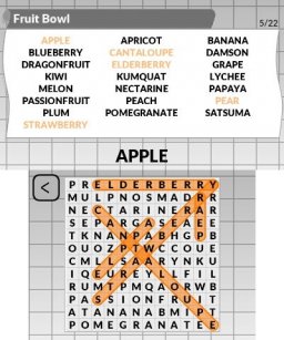 Word Search By POWGI (3DS)   © Lightwood 2015    2/3