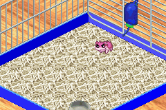 Hamster Monogatari 3 GBA (GBA)   © Culture Brain 2002    3/3