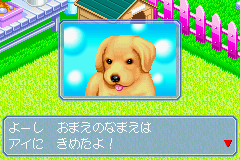 Nakayoshi Pet Advance Series 2: Kawaii Koinu (GBA)   © MTO 2002    2/3