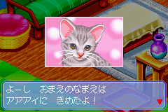 Nakayoshi Pet Advance Series 3: Kawaii Koneko (GBA)   © MTO 2002    2/3