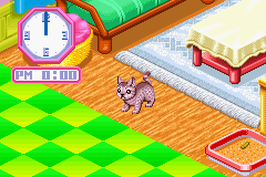 Nakayoshi Pet Advance Series 3: Kawaii Koneko (GBA)   © MTO 2002    3/3