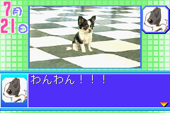 Kawaii Pet Game Gallery 2 (GBA)   © Culture Brain 2004    2/5