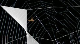 Spider Evader (X360) &nbsp; &copy; SRH 2009 &nbsp;  1/3