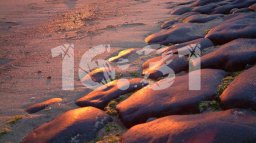 Gallery: Landscapes (X360) &nbsp; &copy; Binary Tweed 2009 &nbsp;  3/3