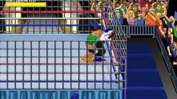 Action Arcade Wrestling (X360)   © Action 2010    2/3