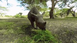 Virry VR (PS4) &nbsp; &copy; Fountain Digital Labs 2017 &nbsp;  1/3