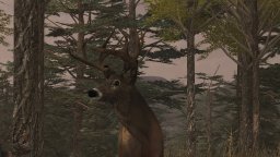 Deer Simulator (PS4)   © PSR Outdoors 2017    3/3