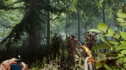 The Forest (PC)   © Endnight 2018    1/3