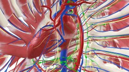 Human Anatomy VR (PS4)   © Virtual Medicine 2017    3/3