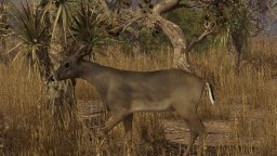 Pro Deer Hunting (PS4)   © PSR Outdoors 2020    3/3