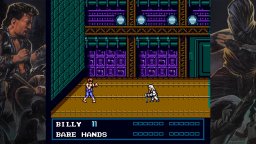 Double Dragon 3: The Rosetta Stone (NS)   © Arc System Works 2020    2/3