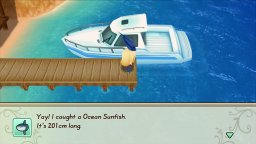 Story Of Seasons: Friends Of Mineral Town (NS)   © Marvelous 2019    2/5