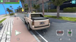 Detective Driver: Miami Files (NS)   © Play With Games 2020    3/3