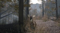 Pro Deer Hunting 2 (PS4)   © PSR Outdoors 2021    2/3