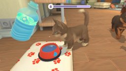 My Universe: Puppies & Kittens (PC)   © Microids 2021    2/3