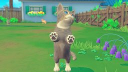 My Universe: Puppies & Kittens (PC)   © Microids 2021    3/3