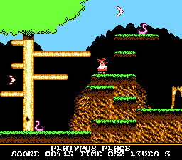 Boomerang Kid (NES)   © Camerica 1991    2/3
