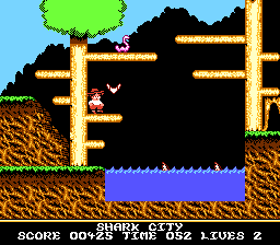 Boomerang Kid (NES)   © Camerica 1991    3/3