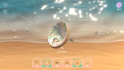 Seashell (NS)   © High Tea Frog 2022    3/3