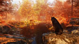 Wolf Simulator: RPG Survival Animal Battle (PS4)   © Midnight Works 2023    2/6
