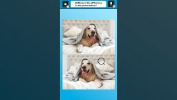 <a href='https://www.playright.dk/info/titel/train-your-brain-spot-the-difference-with-dog-photos'>Train Your Brain! Spot The Difference With Dog Photos</a>    96/99