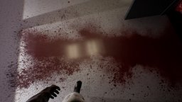 Project 13 (XBO)   © Dolores 2024    6/6