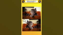 Train Your Brain! Spot The Difference With Cat Photos (NS)   © Mask 2024    2/4