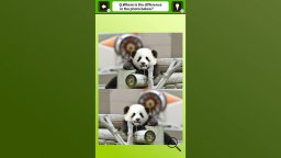 Super Kawaii! Finding Mistakes In Panda Photos (NS)   © Mask 2024    1/4