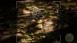 Morels The Hunt 2 (PS5) &nbsp; &copy; Abrams 2024 &nbsp;  1/6