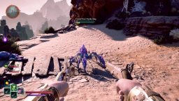 Avowed (XBXS)   © Xbox Game Studios 2025    3/3