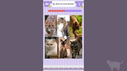 Cat Spotting Challenge! (NS)   © Mask 2025    2/4