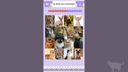 Cat Spotting Challenge! (NS) &nbsp; &copy; Mask 2025 &nbsp;  4/4