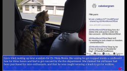 Cat President: A More Purrfect Union (XBO)   © Penguin Pop 2025    3/6