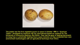 Quiz & Learn: Food & Drink (PS4) &nbsp; &copy; Kuims 2025 &nbsp;  3/6