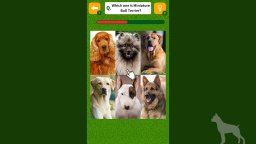 Dog Spotting Challenge! (NS)   © Mask 2025    1/4