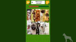 Dog Spotting Challenge! (NS)   © Mask 2025    2/4