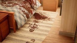 Detective: The Test (PS5) &nbsp; &copy; JanduSoft 2025 &nbsp;  1/6