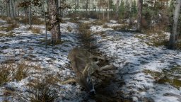 Deer Hunting Camp (PS5) &nbsp; &copy; Party Spa Rentals 2025 &nbsp;  2/6