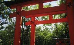 Lushfoil Photography Sim (XBXS)   © Annapurna 2025    1/6