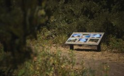 Lushfoil Photography Sim (XBXS)   © Annapurna 2025    5/6