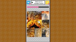 Brain Challenge: Spot The Real One! (NS) &nbsp; &copy; Mask 2025 &nbsp;  1/4