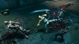 Kiborg (PS5)   © Perp 2025    5/6