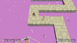 Hypotheses On The Symmetry Between Vision And Hands (NS) &nbsp; &copy; Kamiichi Digital 2025 &nbsp;  3/6