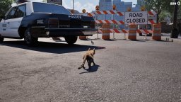 Cat Life Simulator (PS5)   © GoGame 2025    2/6