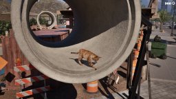 Cat Life Simulator (PS5) &nbsp; &copy; GoGame 2025 &nbsp;  4/6