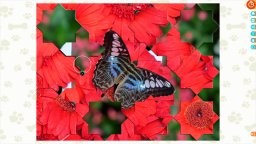 Puzzle Escapes: Paws & Claws (PS5)   © Ocean Media 2025    4/6