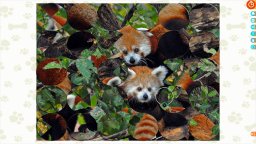 Puzzle Escapes: Paws & Claws (PS5)   © Ocean Media 2025    5/6