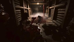 Oxide Room 208 (XBXS)   © WildSphere 2025    5/6