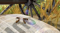 <a href='https://www.playright.dk/info/titel/ants-empire-colony'>Ants Empire Colony</a>    70/99
