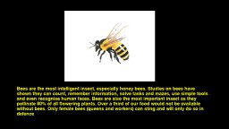 Quiz & Learn: Animals (PS4) &nbsp; &copy; Kuims 2025 &nbsp;  1/6